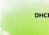  DHCP 是什么意思