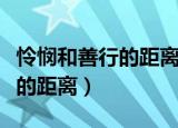 怜悯和善行的距离以什么为线索（怜悯和善行的距离）