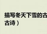 描写冬天下雪的古诗有哪些（描写冬天下雪的古诗）