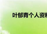 叶郁青个人资料（支付宝法人变更）