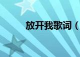 放开我歌词（放开你的理由歌词）