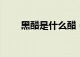 黑醋是什么醋（黑醋属于什么醋呢）