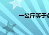 一公斤等于多少克（公斤介绍）