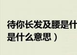 待你长发及腰是什么梗（网络语待你长发及腰是什么意思）