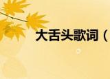 大舌头歌词（大舌头歌词是什么）