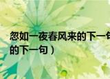 忽如一夜春风来的下一句千树万树梨花开（忽如一夜春风来的下一句）