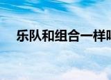 乐队和组合一样吗（乐队和组合的区别）