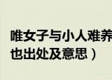 唯女子与小人难养也原文（唯女子与小人难养也出处及意思）
