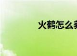 火鹤怎么养（养火鹤方法）