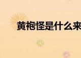 黄袍怪是什么来路（黄袍怪角色简述）
