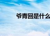 爷青回是什么梗（爷青回的含义）