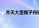 齐天大圣甄子丹铠甲（齐天大圣甄子丹）