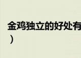 金鸡独立的好处有哪些（金鸡独立有什么好处）