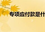 专项应付款是什么（专项应付款介绍）