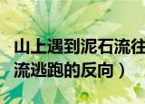 山上遇到泥石流往什么方向跑（山上遇到泥石流逃跑的反向）
