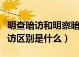 明查暗访和明察暗访区别（明查暗访和明察暗访区别是什么）