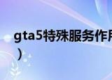 gta5特殊服务作用（gta5三种性服务的区别）
