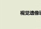 视觉遗像恐怖（视觉遗像）