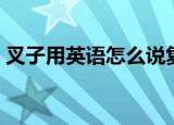 叉子用英语怎么说复数（叉子用英语怎么说）
