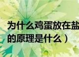 为什么鸡蛋放在盐水里会浮起来（盐水浮鸡蛋的原理是什么）