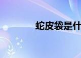 蛇皮袋是什么（蛇皮袋介绍）