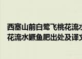 西塞山前白鹭飞桃花流水鳜鱼肥的意思（西塞山前白鹭飞桃花流水鳜鱼肥出处及译文）