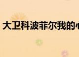 大卫科波菲尔我的心路历程（我的心路历程）