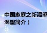 中国家庭之新渴望电视剧剧情（中国家庭之新渴望简介）