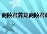 商陵君养龙商陵君愚蠢的原因（商陵君养龙）