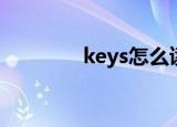 keys怎么读（keys的意思）