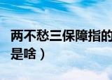 两不愁三保障指的是什么（两不愁三保障指的是啥）
