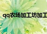 qq农场加工坊加工什么好（qq农场加工厂）