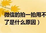微信的拍一拍用不了为什么（微信拍一拍用不了是什么原因）