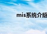 mis系统介绍（什么是mis系统）