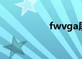 fwvga屏幕（fwvga）