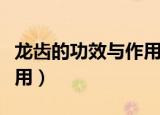龙齿的功效与作用及副作用（龙齿的功效与作用）