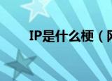 IP是什么梗（网络语IP是什么意思）