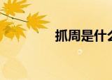 抓周是什么（抓周的释义）