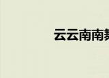 云云南南舞蹈（云云南南）