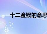 十二金钗的意思（十二金钗如何解释）