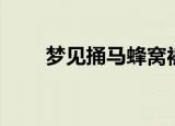 梦见捅马蜂窝被追（梦见捅马蜂窝）