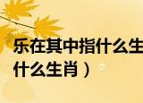 乐在其中指什么生肖标志准答案（乐在其中指什么生肖）
