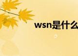 wsn是什么梗（wsn的意思）