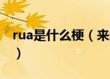 rua是什么梗（来这里了解下这个网络用语了）