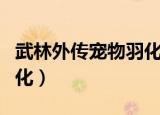 武林外传宠物羽化会绑定吗（武林外传宠物羽化）