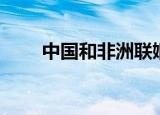 中国和非洲联姻（中国与非洲联姻）