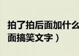 拍了拍后面加什么字搞笑（适合加在拍了拍后面搞笑文字）