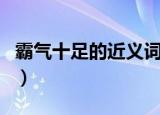 霸气十足的近义词怎么写（霸气十足的近义词）