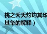 桃之夭夭灼灼其华是什么意思（桃之夭夭灼灼其华的解释）