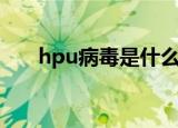hpu病毒是什么意思（hpu病毒解释）